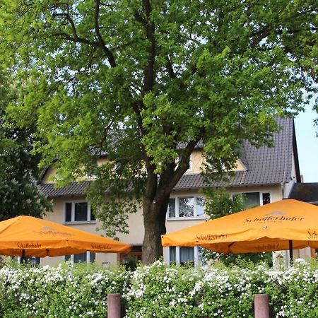 Gasthof Zur Friedenseiche Lohsa 외부 사진